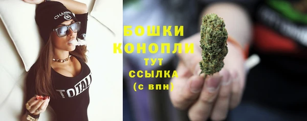 спиды Арсеньев