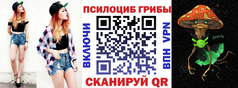 это состав магазин продажи наркотиков Славск Галлюциногенные грибы Psilocybe